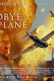 Profilový obrázek - The Goodbye Plane