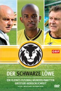 Profilový obrázek - Schwarze Löwe, Der