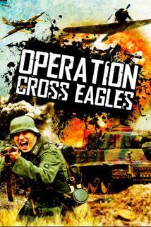 Operation Cross Eagles  - Operation Cross Eagles