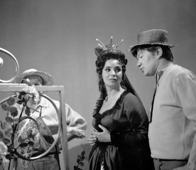 O pasáčkovi a labutích princeznách