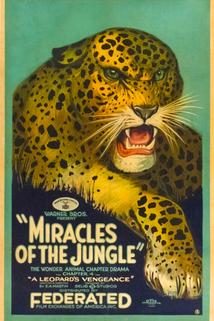 Profilový obrázek - Miracles of the Jungle