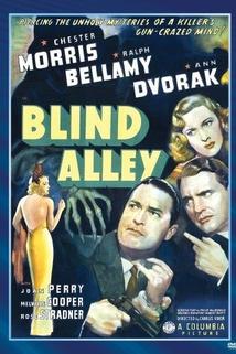 Profilový obrázek - Blind Alley