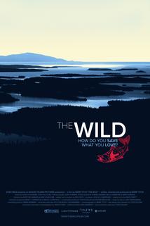 Profilový obrázek - The Wild