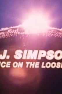 Profilový obrázek - O.J. Simpson: Juice on the Loose