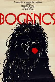 Profilový obrázek - Bogáncs