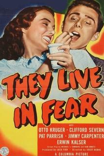 They Live in Fear  - They Live in Fear