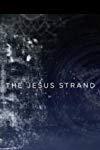 Profilový obrázek - The Jesus Strand: A Search for DNA