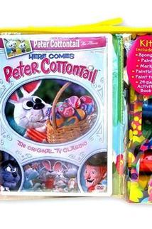 Profilový obrázek - Here Comes Peter Cottontail