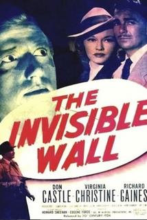 Profilový obrázek - The Invisible Wall