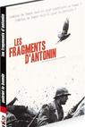 Fragments d'Antonin, Les (2006)