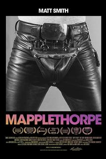 Profilový obrázek - Mapplethorpe