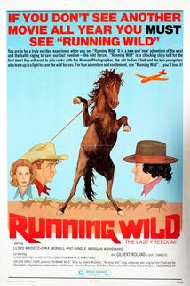 Running Wild  - Running Wild