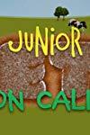 Profilový obrázek - Junior Vets on Call