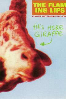The Flaming Lips: This Here Giraffe