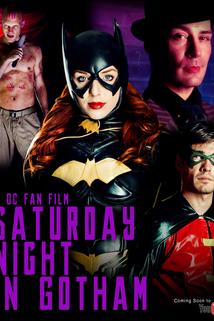 Profilový obrázek - Saturday Night in Gotham
