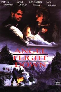 Anděl strážný v nebezpečí  - Angel Flight Down
