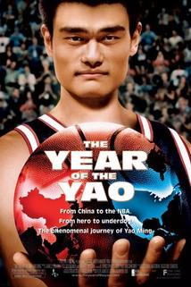 Profilový obrázek - The Year of the Yao