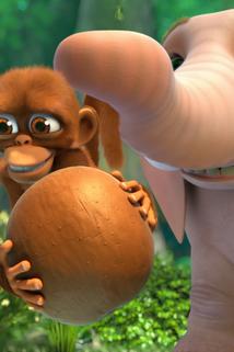 Profilový obrázek - Nuts