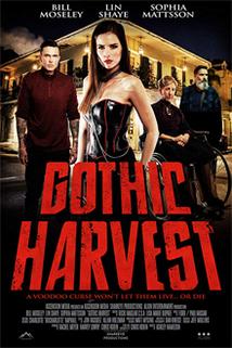 Profilový obrázek - Gothic Harvest