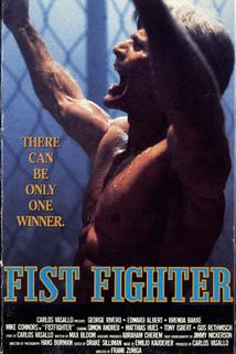 Souboj pěstí  - Fist Fighter