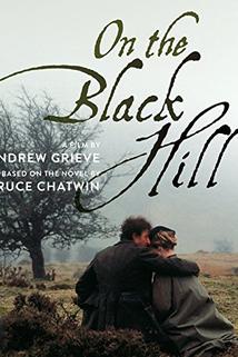 Profilový obrázek - On the Black Hill