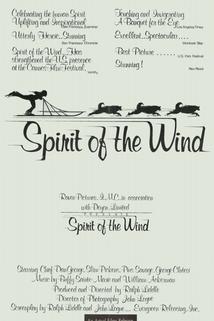 Profilový obrázek - Spirit of the Wind