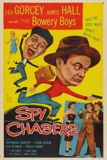 Profilový obrázek - Spy Chasers