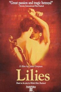 Profilový obrázek - Lilies - Les feluettes