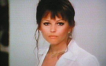 Qui comincia l'avventura