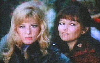 Qui comincia l'avventura