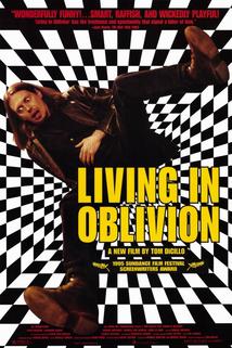 Život v oblouznění  - Living in Oblivion