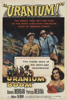 Profilový obrázek - Uranium Boom