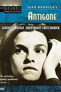 Profilový obrázek - Antigone