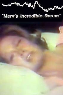 Profilový obrázek - Mary's Incredible Dream