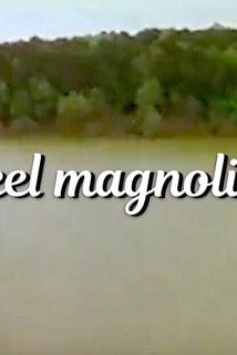 Profilový obrázek - Steel Magnolias