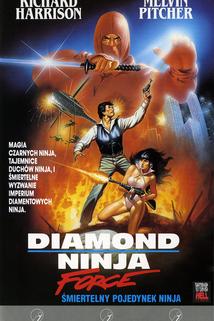Profilový obrázek - Diamond Ninja Force