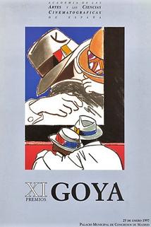Profilový obrázek - XI premios Goya