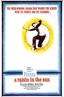 A Raisin in the Sun  - A Raisin in the Sun