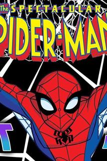 Profilový obrázek - Top 5 Best The Spectacular Spider-Man Episodes