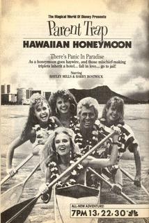 Profilový obrázek - Parent Trap: Hawaiian Honeymoon