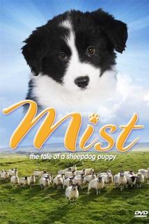 Profilový obrázek - Mist: The Tale of a Sheepdog Puppy