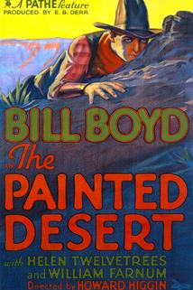 Profilový obrázek - The Painted Desert