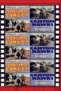 Profilový obrázek - Canyon Hawks