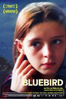 Profilový obrázek - Bluebird