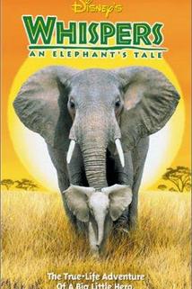 Profilový obrázek - Whispers: An Elephant's Tale