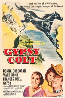 Profilový obrázek - Gypsy Colt