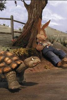 Profilový obrázek - The Story of 'The Tortoise & the Hare'