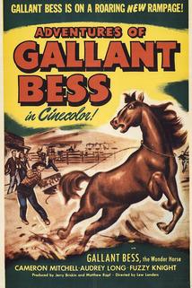 Profilový obrázek - Adventures of Gallant Bess