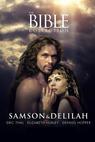 Biblické příběhy: Samson a Dalila 