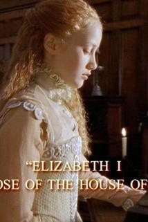 Profilový obrázek - The Royal Diaries: Elizabeth I - Red Rose of the House of Tudor